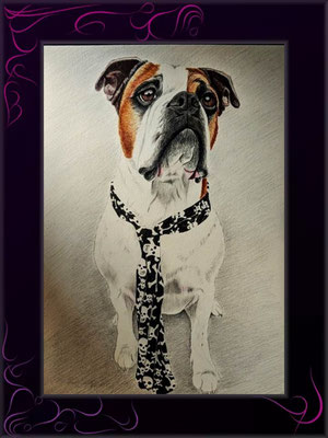 Hundezeichnung in Farbe Hund mit Krawatte