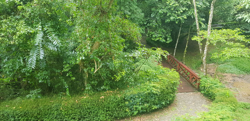 Parque Tanguá