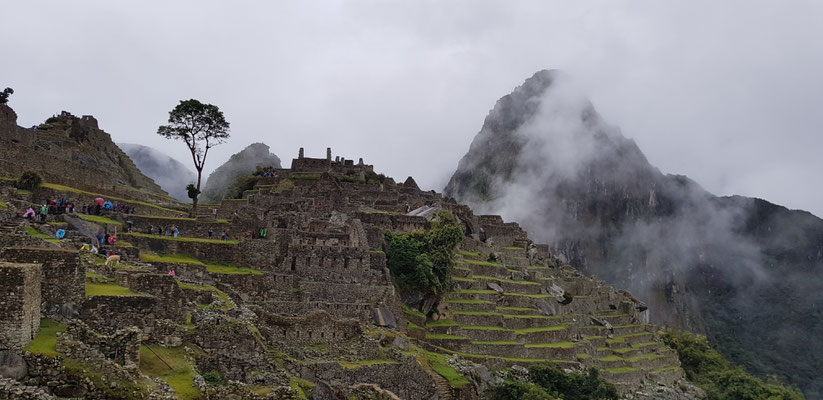 Machu Picchu inka