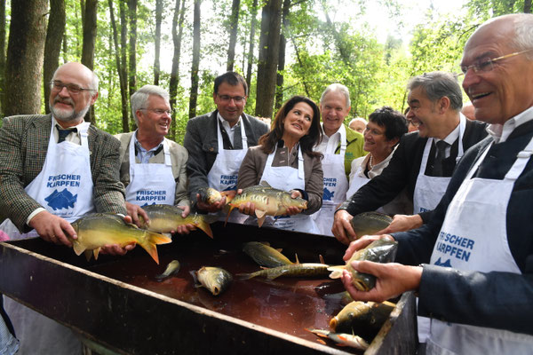 Eröffnung der Karpfensaison