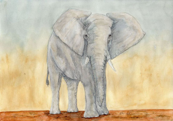 Elefant, A4 Aquarellmalerei 146,- Euro