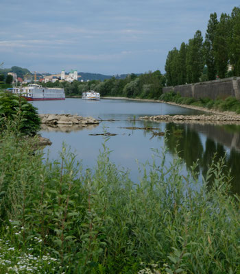 In Passau auf dem Stellplatz neben einem Seitenarm der Donau