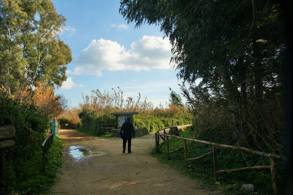 Wir sind drin im Naturreservat Oasis of Vendicari