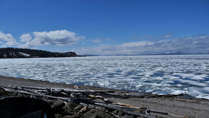 ... und auf dem Yellowstone Lake bricht langsam das Eis.