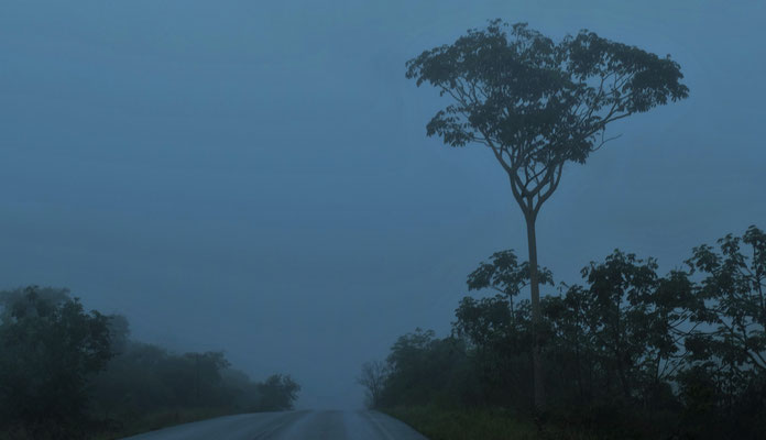 Dann sind wir im Nebel