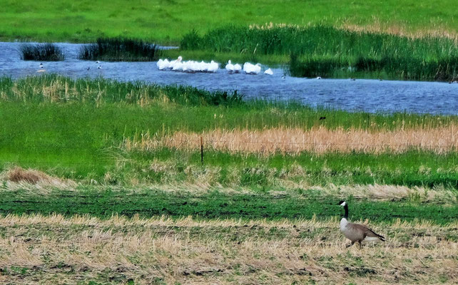 Wir sind weitergezogen und am Fluss....