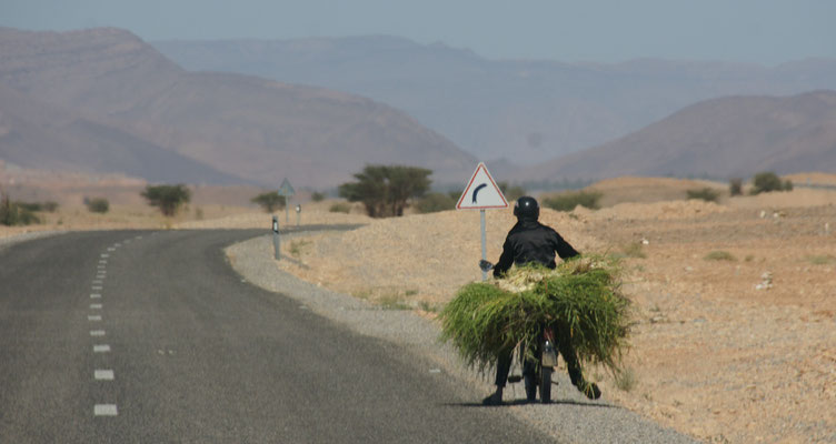 Die Strasse von Akka nach Tata ist wieder zweispurig