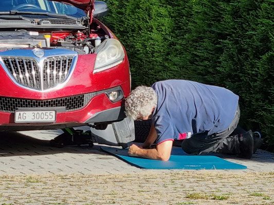 Auch hier ist wieder ein Kabel durchgebissen