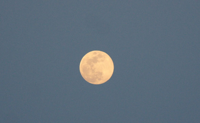 Der Mond ist aufgegangen am Mittelmeer in Marokko