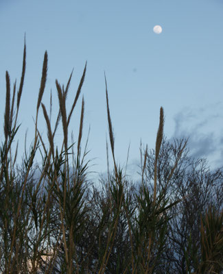 Am Abend wird der Himmel wieder blau.