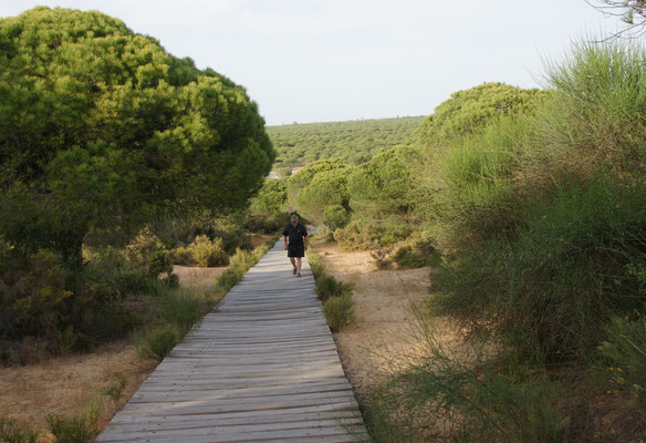 Durch das Tor über den Steg und die Dünen Richtung Meer in Andalusien