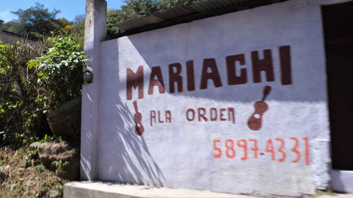 Auch in Guatemala gibt es Mariachis