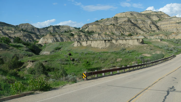 Tschüss Badlands, tschüss Theodor Roosevelt Nationalpark