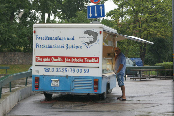 Zurück in Saldus. Frischen Fisch