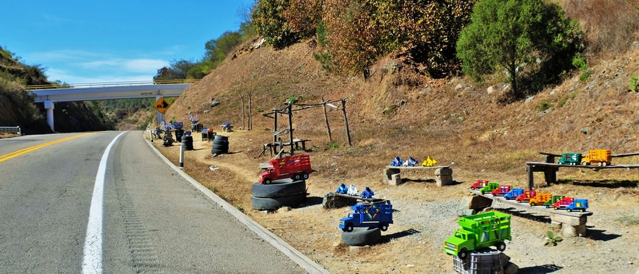 Entlang der Strasse werden Holzlastwagen angeboten