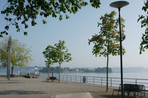 Morgenstimmung am Zürichsee,  Blick auf die Insel Ufenau