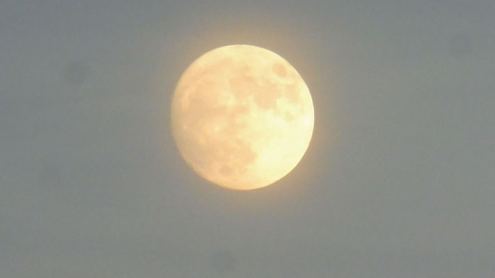 Der Mond zeigt sich von seiner besten Seite