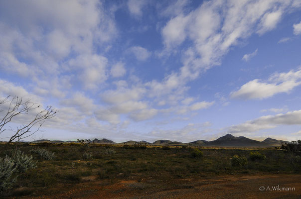 First sight of the Stirling Ranges...