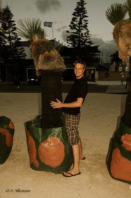Well.... - Fremantle Pier