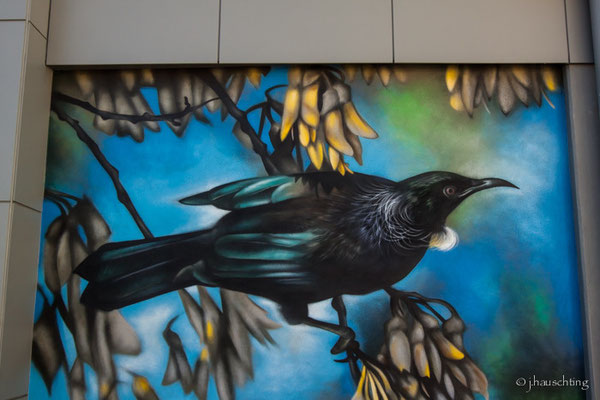 Street art Tauranga