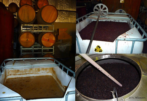 Different ways of wine making...