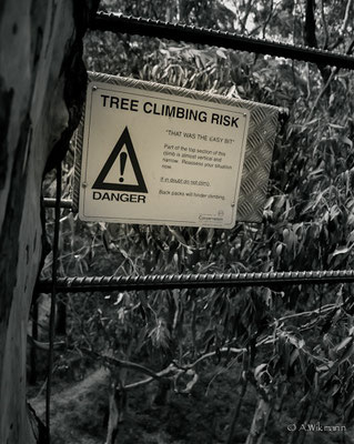 Oh, well...better not be afraid of heights