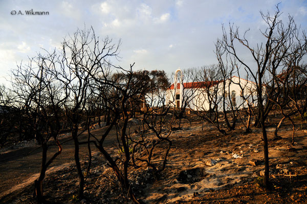 Impressions bush fire @ Prevelly