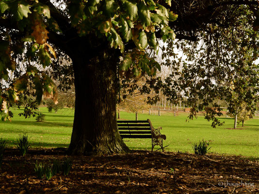 Impressions @ Picardy Vineyard
