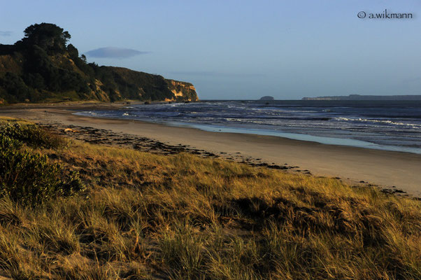 Dotterel Beach -  Te Puke area