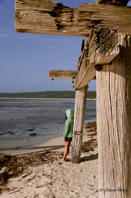Impressions Hamelin Bay