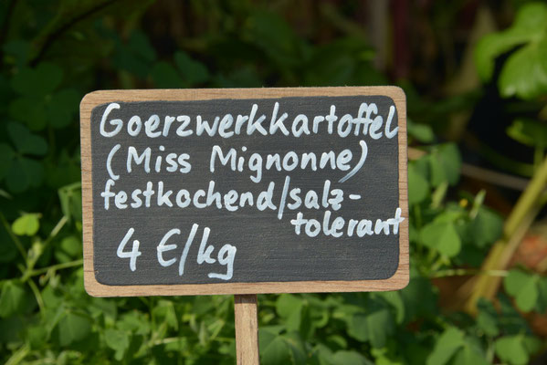 Goerzwerk Casino Goerzwerk Casino