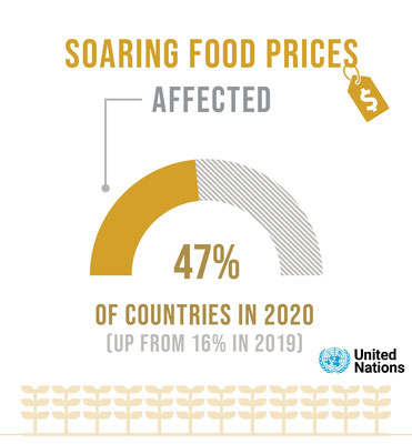 Fact 7 : 47% of countries worldwide are affected by SOARING FOOD PRICES 
