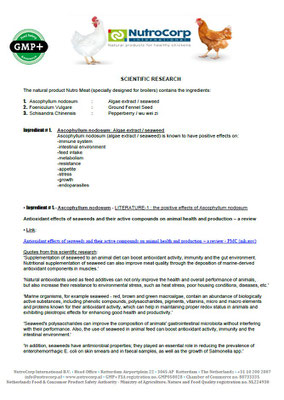 The positive effects of Nutro Meat and its ingredients on broilers  -Scientific & Practice research- page 3