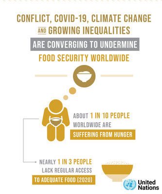  Fact 6 : Worldwide food SECURITY is UNDERMINED