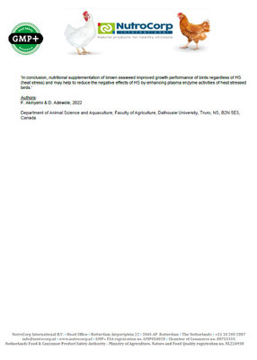 The positive effects of Nutro Meat and its ingredients on broilers  -Scientific & Practice research- page 6