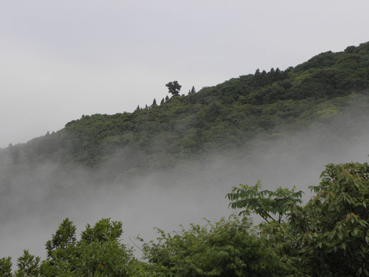 諭鶴羽山