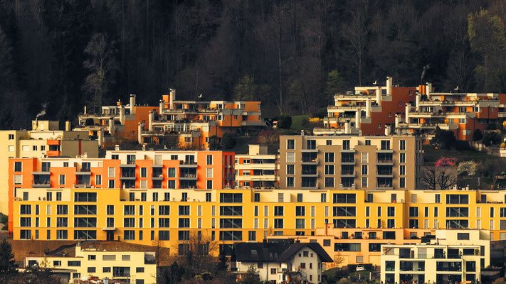 Häuser in Wädenswil