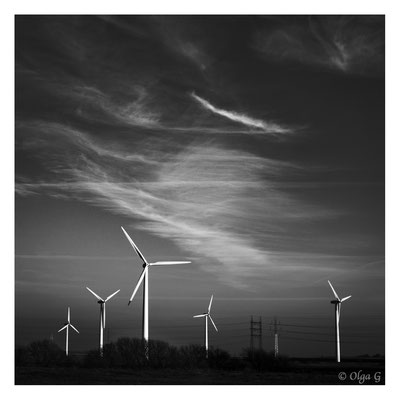 #0030   "Landscape with Windmills" (Esbjerg, Måde, Denmark 2019)    Ltd of 10