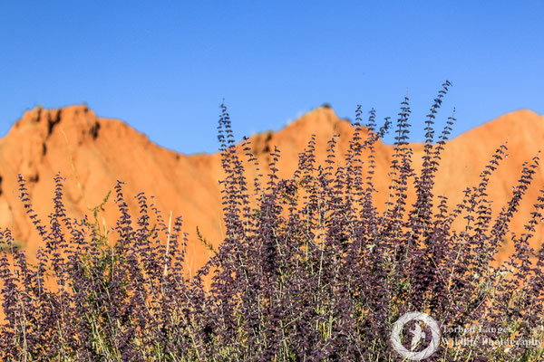 Badlands