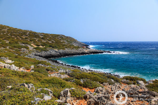 Coast of Antikythira