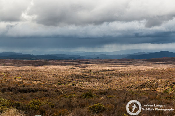 Hiking at Tongariro National Park
