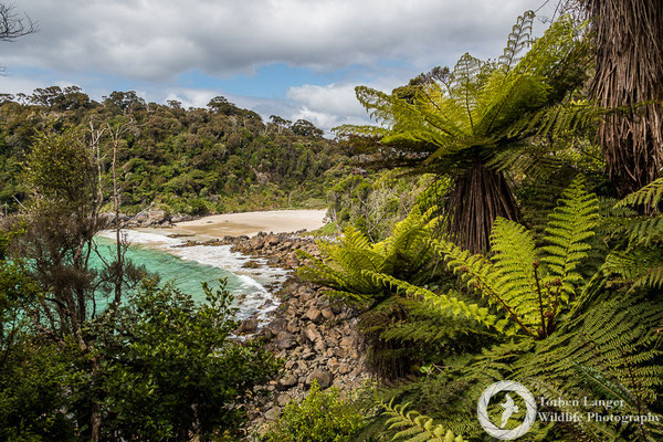 Dead Man Beach on Stewart Island