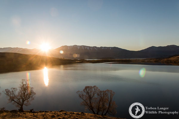 Lake Tekapo