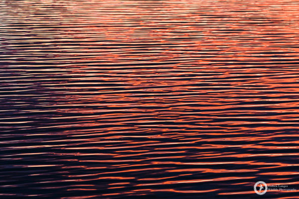 Evening impressions
