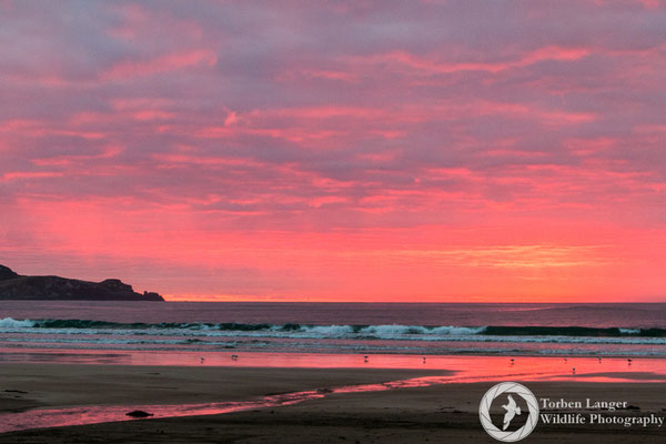 Sunrise at Jacks Bay