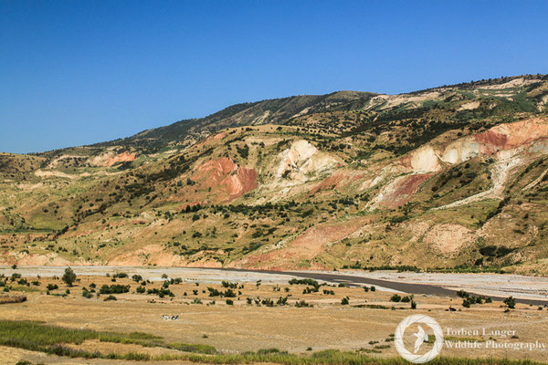 Landscape impressions