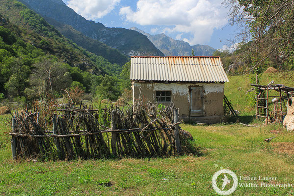 A shack in the middle of nowhere