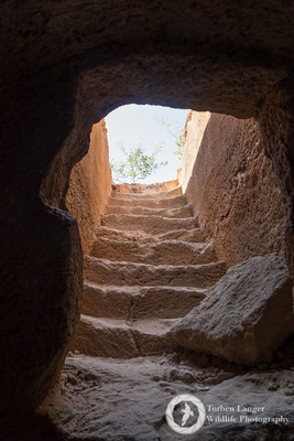 Tomb of the Kings