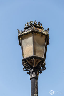 At the Palacio del Acebrón
