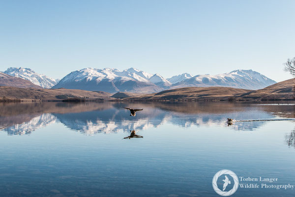 Lake Alexandrina